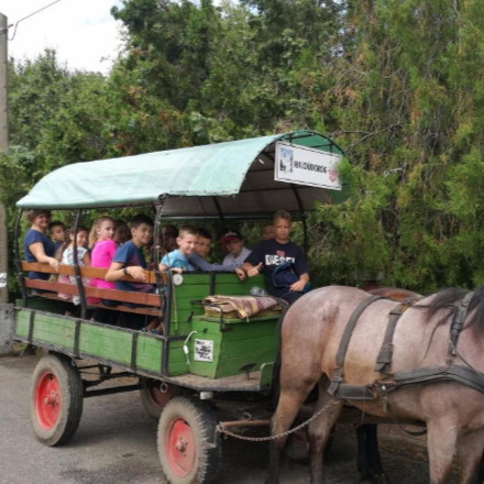 Nyári tábor a Debreceni Parókia szervezésében