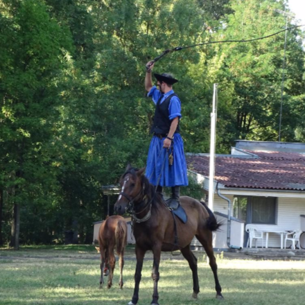 Családi Nap a Dorcasban