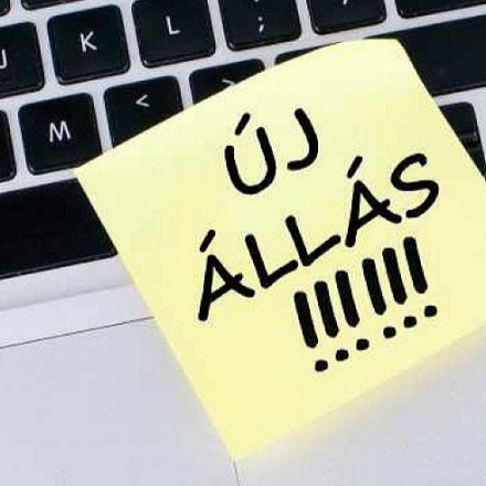 Iskolatitkárt keresnek