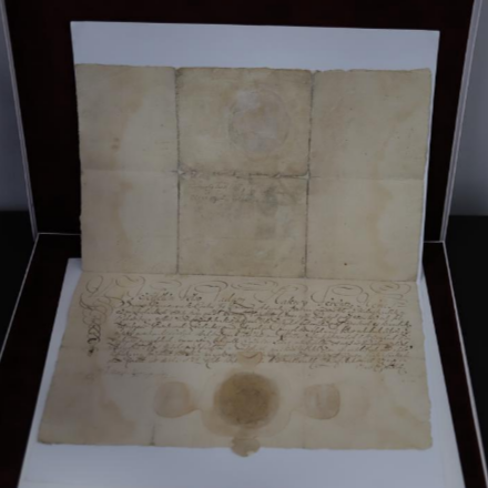 Rendkívül értékes ajándékot kapott a hároméves metropólia 