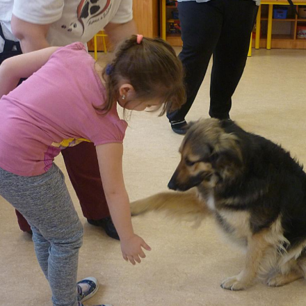 Mancs a szívhez-kutyaterápiás foglalkozás kicsiknek 