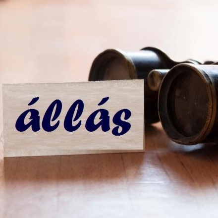 Angoltanárt és gyógypedagógust keresnek