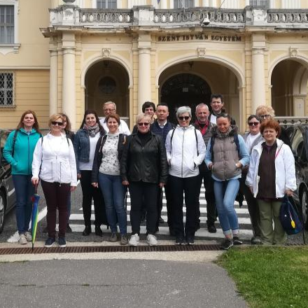 A Szent Lukács Görögkatolikus Szeretetszolgálat éves nagy zarándoklata Máriabesnyőre