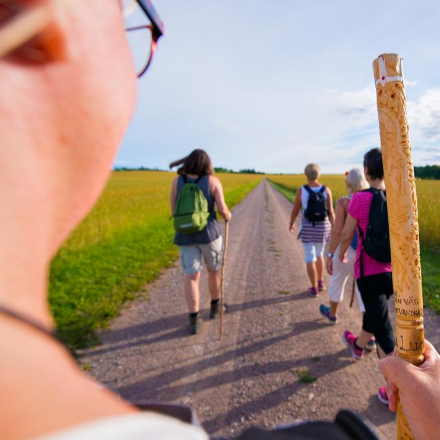 Hölgyek számára szervez zarándoklatot a pécsi parókia