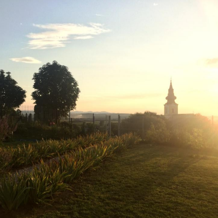 Az imádság az Úr ajándéka, mi pedig engedelmességgel fogadjuk be!