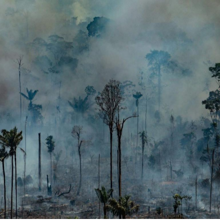 A Latin-Amerikai Püspöki Karok felhívása az Amazonas védelmére 