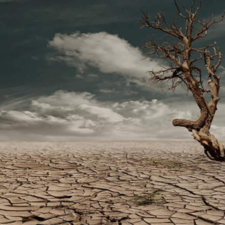 Csapdahelyzetben - Segít a klímahelyzet megoldásán a legyintés, a cinizmus?