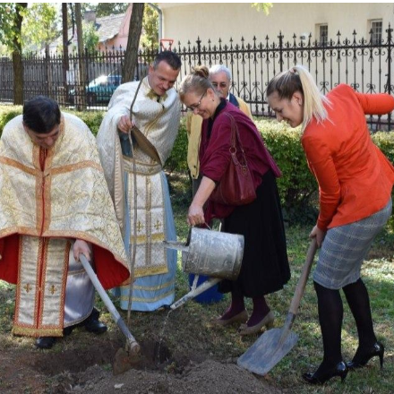 Fát is ültettek a makói templombúcsún