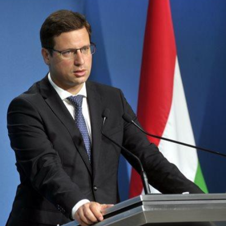 Eldőlt: nem kell nyelvvizsga a felsőoktatási jelentkezéshez - a Roma Szakkollégiumok Egyesülete üdvözli a döntést 