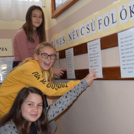 Derültség és nyelvi humor gúny nélkül - a magyar nyelv napja Nyíracsádon 