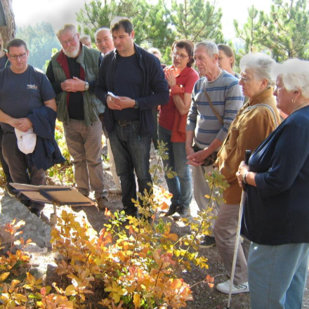 Egy nem mindennapi papi hivatás története - interjú Elek Antal szombathelyi szervezőlelkésszel