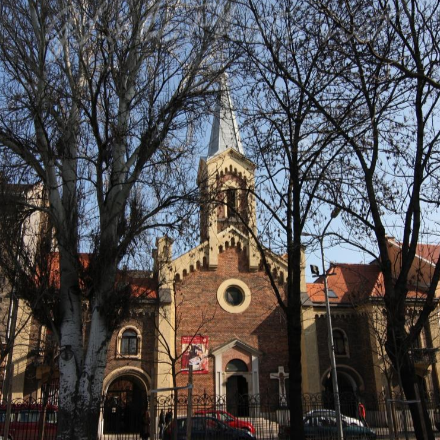 A karantén időszak gyümölcsei a Rózsák terén 