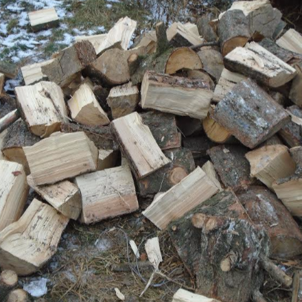 Tűzifaosztás Hajdúdorogon