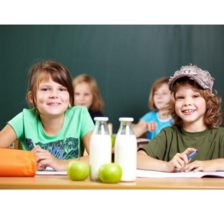 Előzetes ajánlattételi kiírás iskolatej programhoz