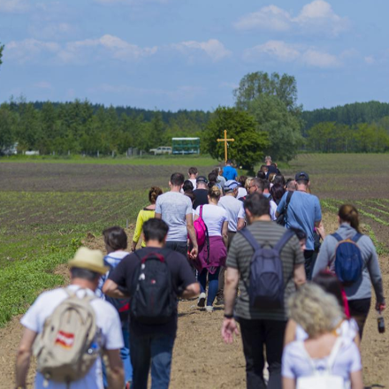 Jubileumot ünnepel a Katolikus Karitász - zarándoklattal illetve rajz -és fotópályázattal is emlékeznek az évfordulóra