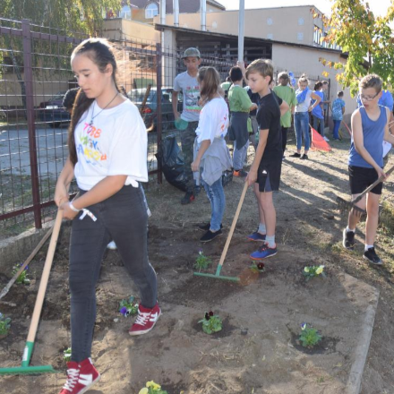 Önkéntes koordinátorok jelentkezését várják a 