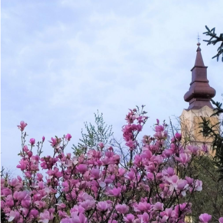 Tisztelendő asszonyok találkozója és feltöltődése Sajópálfalán
