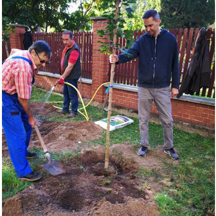 Apostolok sétányát alakítottak ki a kispesti hívek a 72 óra kompromisszum nélkül akcióban 