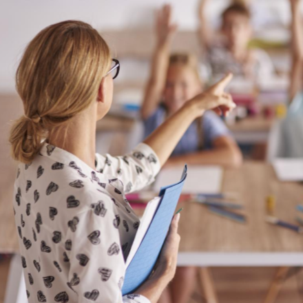 Állásajánlat - biológia-kémia és biológia-bármely szakos tanár munkakör betöltésére 