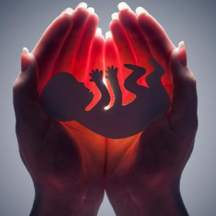 40 Nap az Életért - imamozgalom a magzatokért 