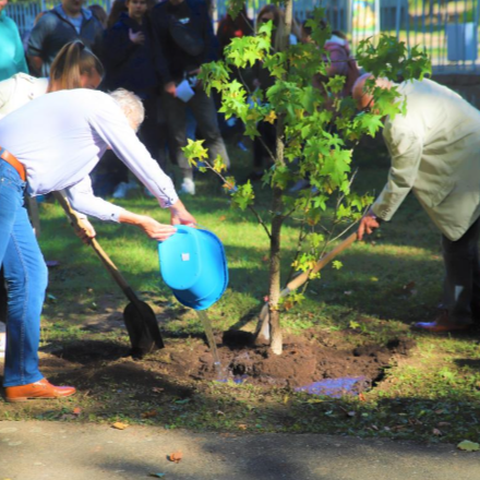 Ferenc pápa üzenete a teremtésvédelmi imanapra