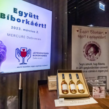 Több mint egymillió forint gyűlt össze a jótékonysági borárverésen