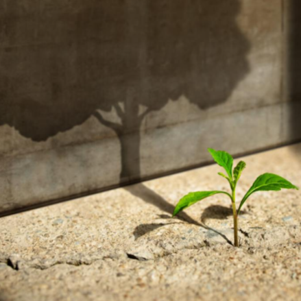 Ebben a tanévben is lesz középiskolai hittanverseny