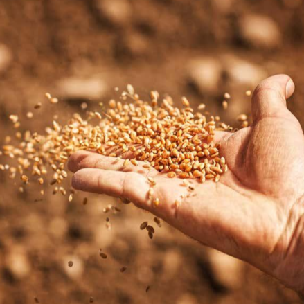 Népszámlálás görögkatolikus szemmel