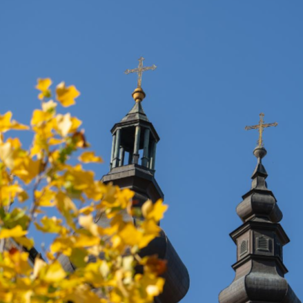 Erőforrásaink: szeretetszolgálatok zarándokoltak Máriapócsra