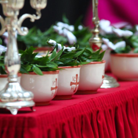 Üdvösség köszöntött a házra 