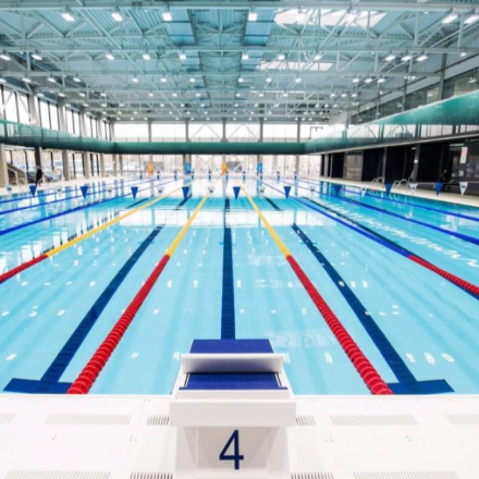 Fabiny Tamás: A vizes vb margójára