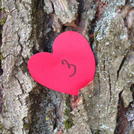 A pécsi hittanosok tábora Máriagyűdön