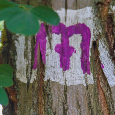 Egy nap, ami megváltoztathatja az életed